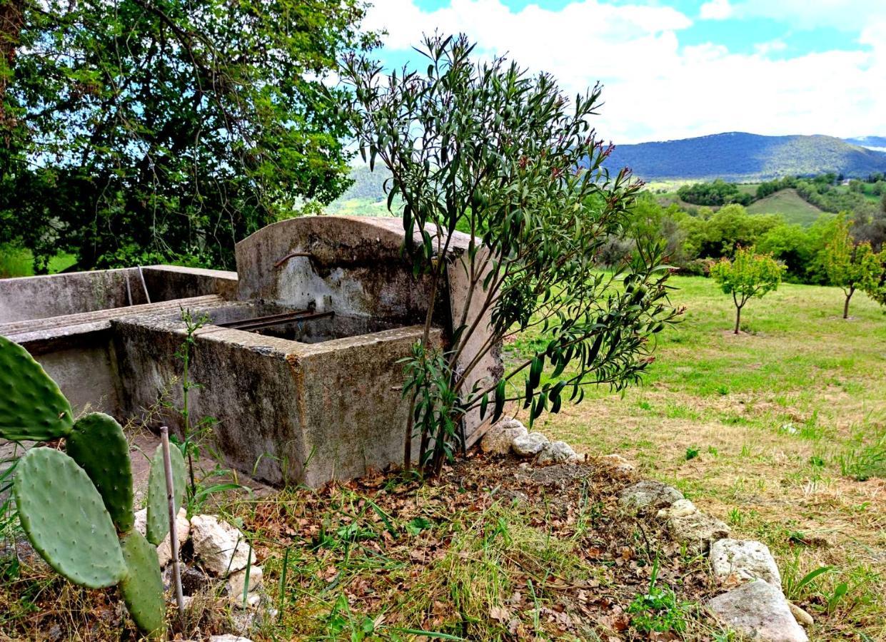 Ai Limiti • 67 • Stonehouse Guest House Palombaro ภายนอก รูปภาพ